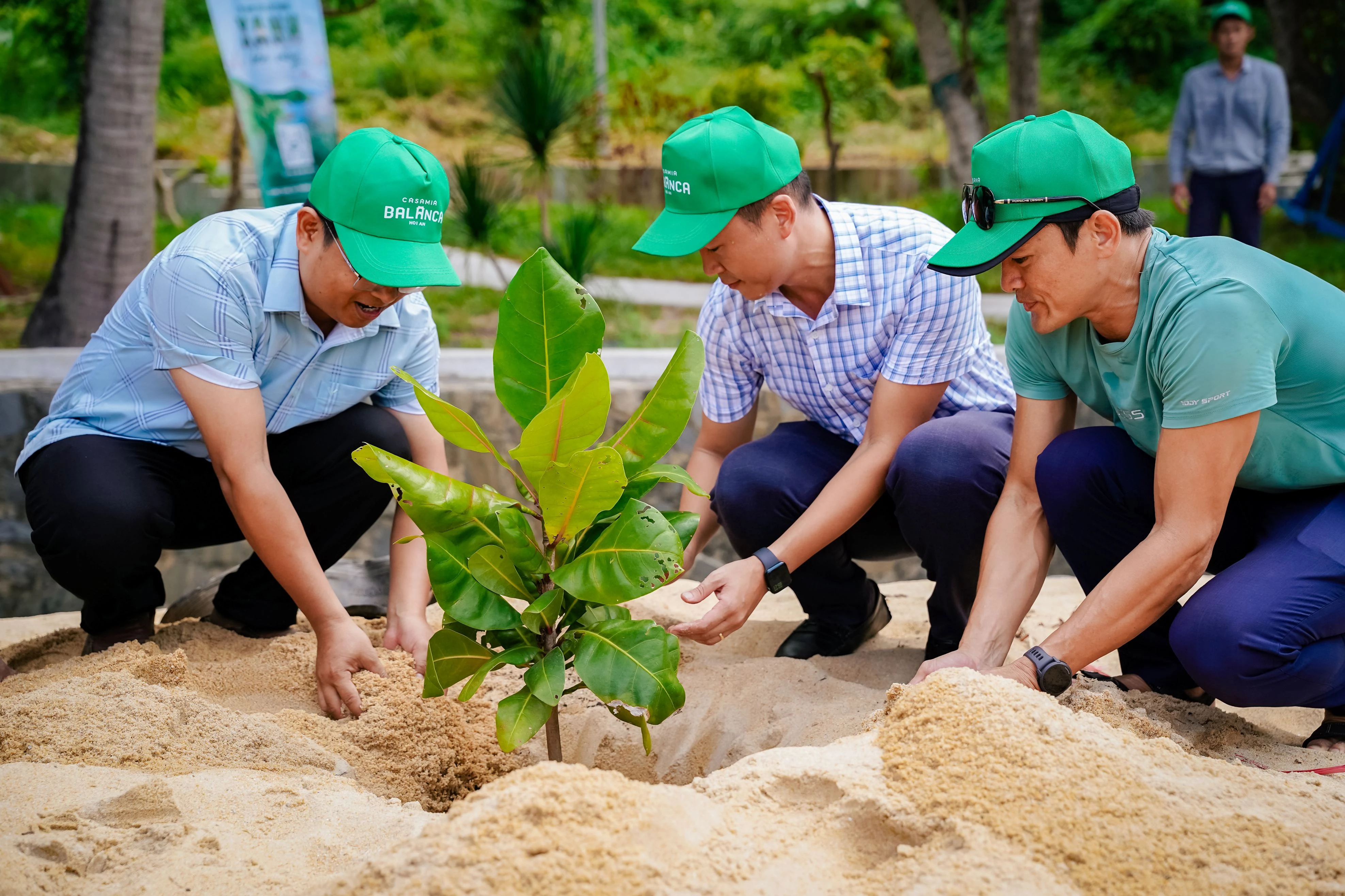 11.9 ảnh 2